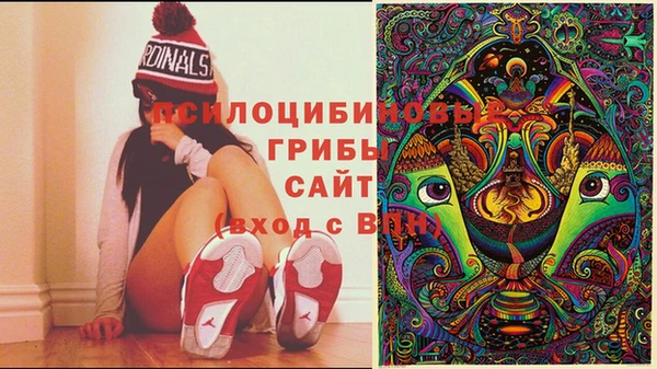 дмт Остров